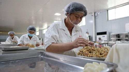 馬云回歸創立馬家廚房，日本海鮮預制菜引發網友熱議