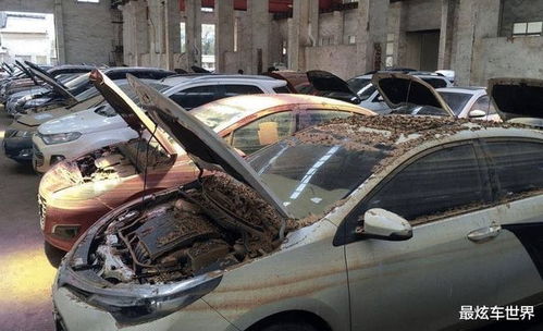 泡水車維修困局 車主與行業(yè)的雙重挑戰(zhàn)